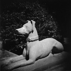 Image description is not available for 2007.076